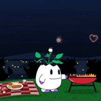 United States Usa GIF by Magic Eden