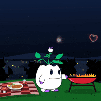 United States Usa GIF by Magic Eden