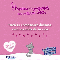 GIF by Dolphin Discovery