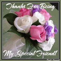 thanks for making the s GIF