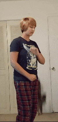 cats jerks GIF