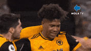 Football Celebration GIF by MolaTV