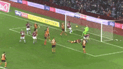 celebrate premier league GIF by Aston Villa FC