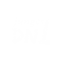 Theater Dnt Sticker by Deutsches Nationaltheater Weimar