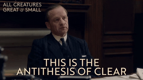 Understand Channel 5 GIF by All Creatures Great And Small
