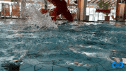 Sd2020 GIF by SD 2020 Bad Brückenau e.V.