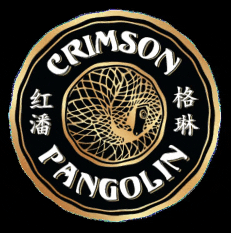 crimsonpangolin giphygifmaker china gin shanghai GIF