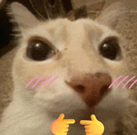 Cat Blushing GIF