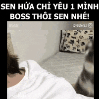 GIF by Lozi Singapore Co.