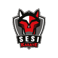 Karate Sticker by Sesi Esporte