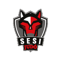 Judo Sticker by Sesi Esporte
