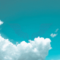 flyclub  GIF