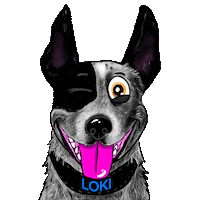 Cattle Dog Wink Sticker