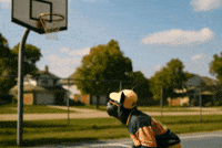 March Madness Basketball GIF by Terry Toto