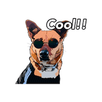 Dog Glasses Sticker