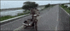kid fail GIF