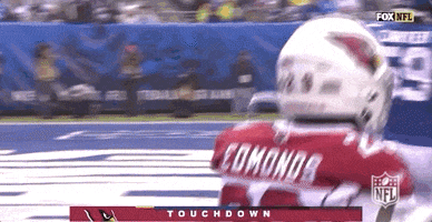 Regular Season Football GIF by NFL