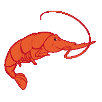 empacreci seafood shrimps camaron empacreci Sticker
