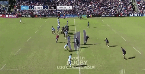 sammylarns giphygifgrabber GIF
