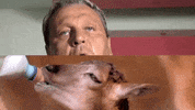 cat power cassius official GIF by CASSIUS