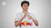 Football Sport GIF by FC Red Bull Salzburg