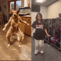 Megan Mei GIF