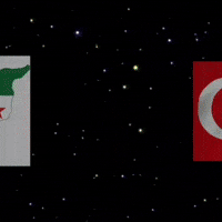 Flag Al GIF
