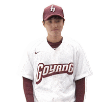 Snap Sticker by Kiwoom Heroes Baseball Club
