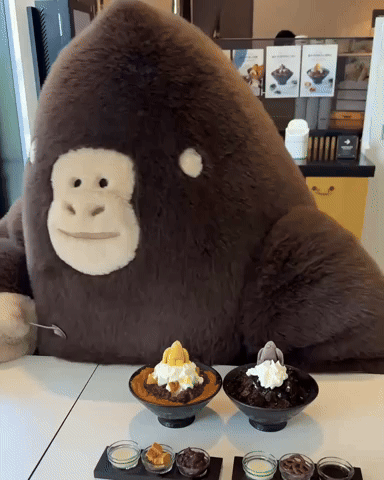 sigourulla eat cafe ice cream gorilla GIF