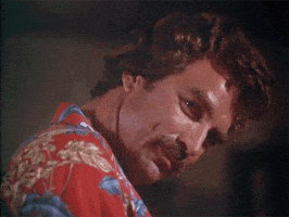 Stealing Magnum Pi GIF