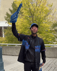 Lets Go Baseball GIF