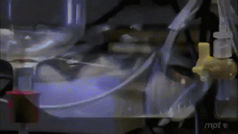 amakarova giphyupload GIF