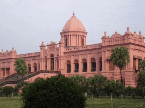 Pink Palace Bangladesh GIF