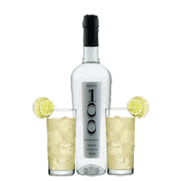 pisco100 miami lifestyle peru pisco Sticker