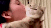 Cat Biting GIF