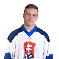 hockey slovakia Sticker by Pilsner Urquell