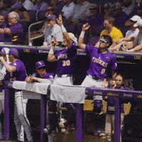 Celebrating College Sports GIF by LSU Tigers