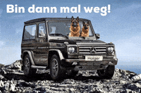 German Dogs GIF