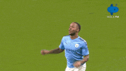 Wolves Penalty GIF by MolaTV