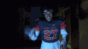 cnfb GIF by Carson-Newman Athletics