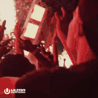 GIF by Ultra Music Festival