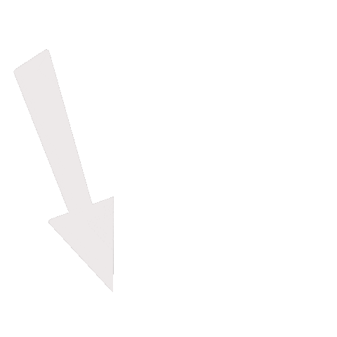 Nyu Ogi Sticker by NYU University Life