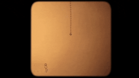 GIF by Family