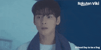 Cha Eun Woo Kdrama Couple GIF by Viki