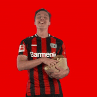 Julian Baumgartlinger Food GIF by Bayer 04 Leverkusen