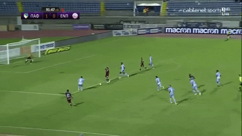 stavrospapademetriou giphygifmaker GIF