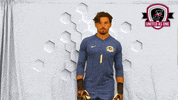UIndyMensSoccer mens soccer uindy university of indianapolis uindy mens soccer GIF