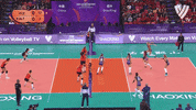 Happy United States GIF by Volleyball World