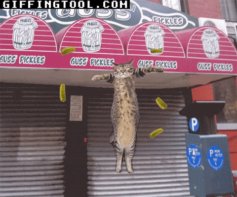 giphyupload GIF