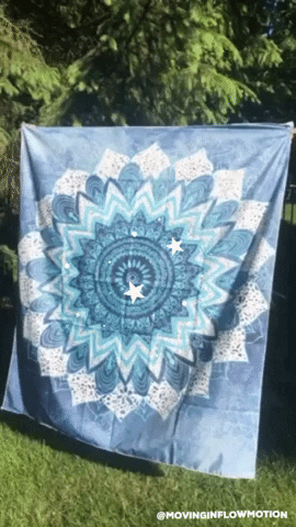 DaisyDunes giphygifmaker giphyattribution GIF